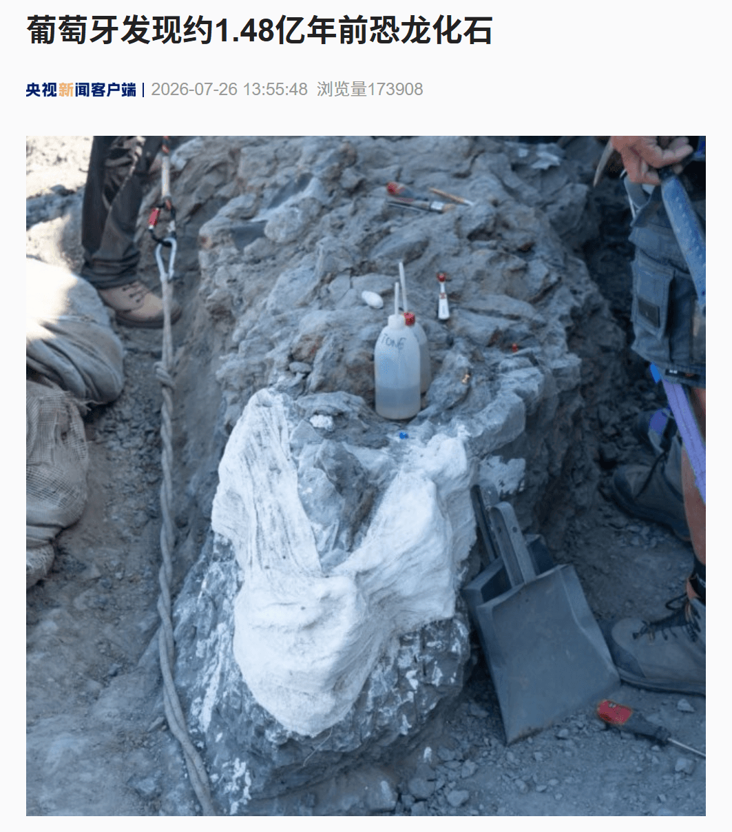 保存姿态十分罕见,葡萄牙发现约 1.48 亿年前恐龙化石